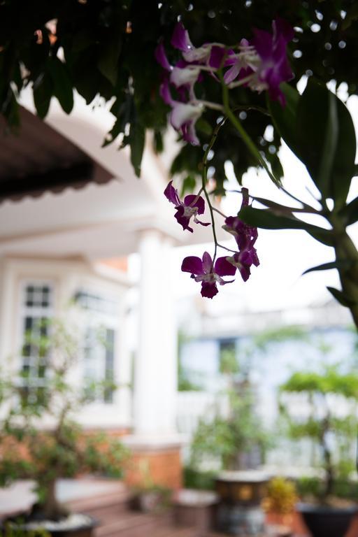 Beautiful Moon Hoi An Villa エクステリア 写真